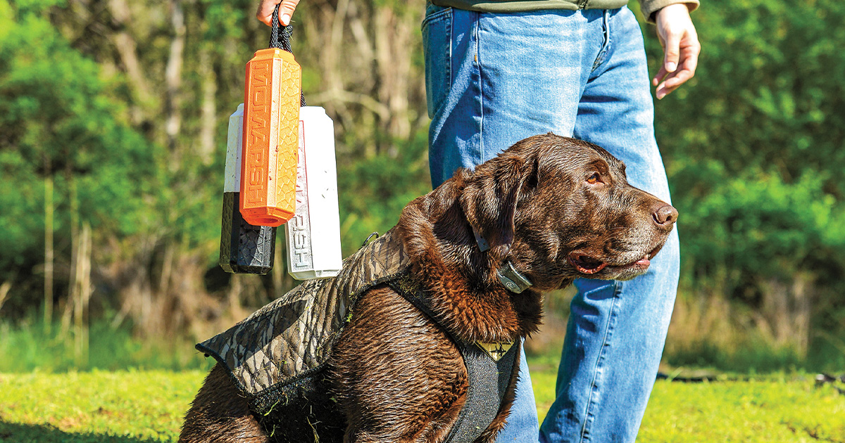 Meet the Trainers Q As with Veteran Dog Trainers Ducks Unlimited
